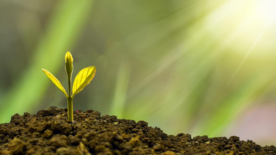 XP Investimentos Login: Dicas para Acessar sua Conta com Segurança