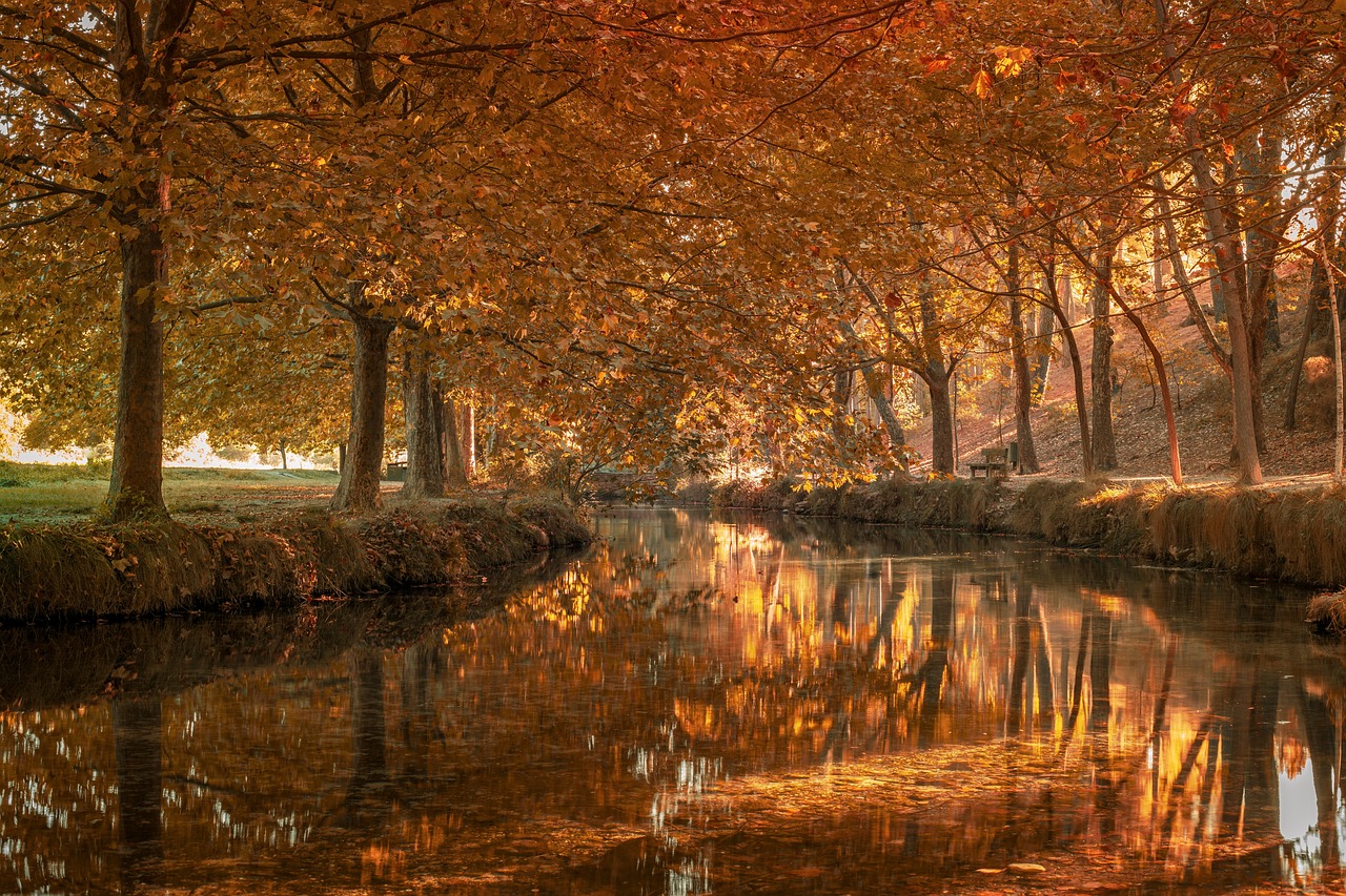 Calculadora de Investimentos: Como Simular Sua Rentabilidade Real com Facilidade